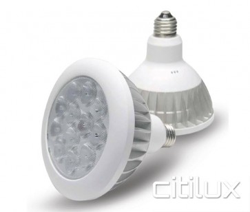 Dodeca PAR38 14.4W  LED Bulbs 