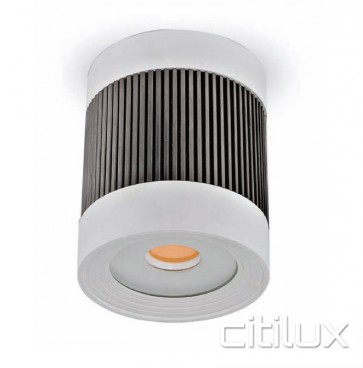Laurex 20W Surface Mounted LED Ceiling Light