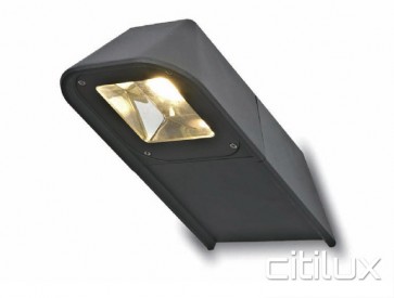 Raikon 20W IP54 Wall Light