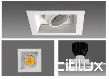 Beltron 1 Lights 33W LED Recessed Downlights