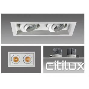 Effex 2 Lights LED Recessed Downlights