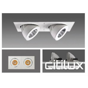Firelux 2 Lights LED Recessed Downlights